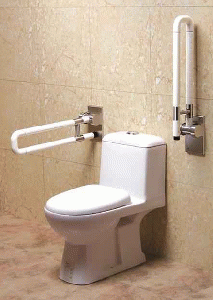 Toilet Bowl Handrails